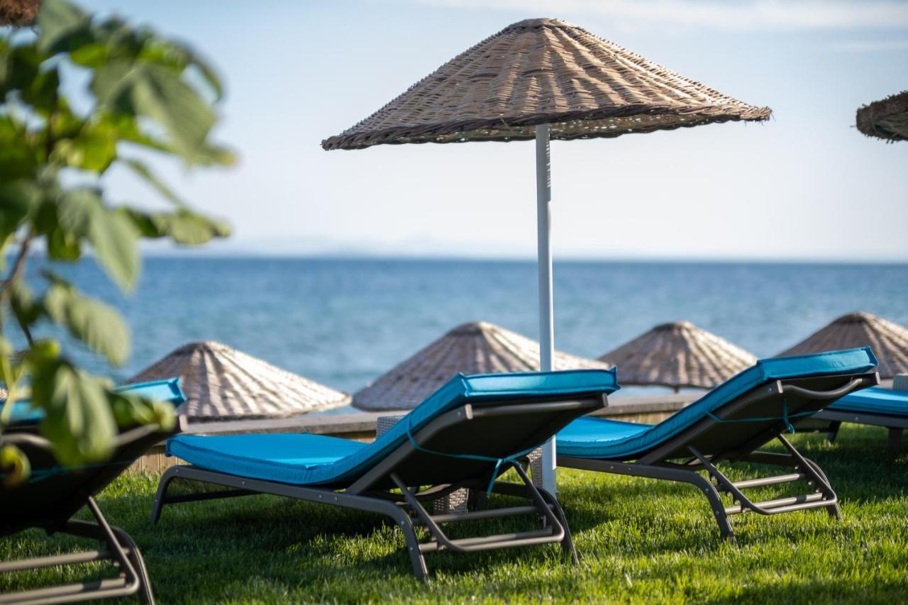 Ida Colors Hotel Altınoluk Zewnętrze zdjęcie